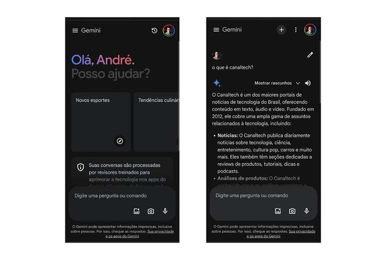 Converse com o Gemini pelo navegador (Imagem: Captura de tela/André Magalhães/Canaltech)