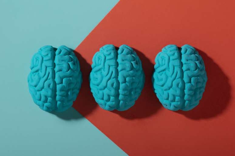 Studies show whether IQ tests really work (Image: Freepik) Studies show whether IQ tests really work (Image: Freepik)