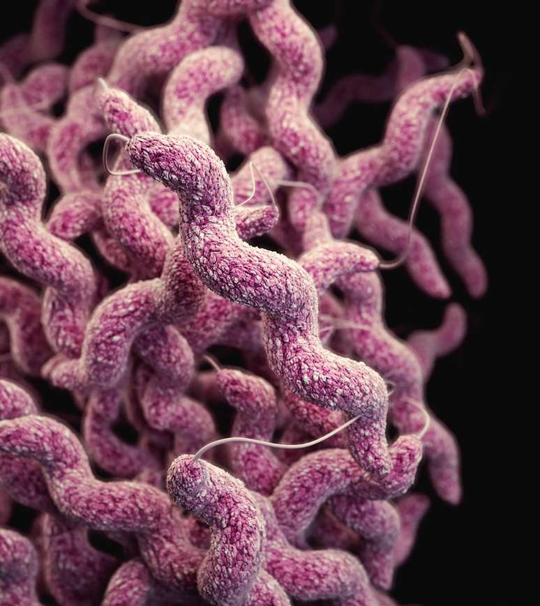 I batteri osservati sui corpi in luoghi, climi e orari diversi sono rimasti gli stessi, indicando l’ora della morte con una certa precisione (Foto: CDC/Unsplash)