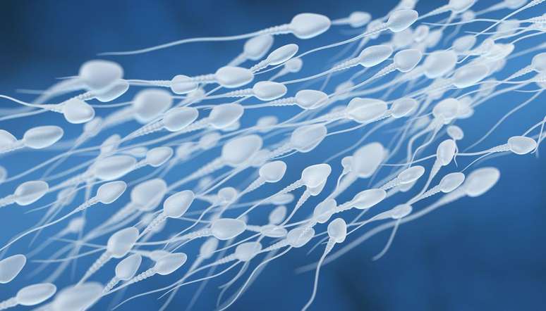 Testículos criados em laboratório talvez possam produzir espermatozoides (Imagem: iLexx/envato)