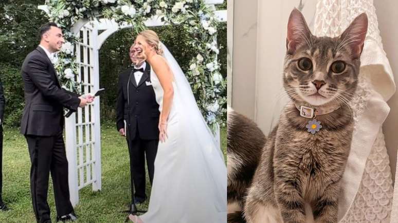 In the USA the cat crashes the wedding and is adopted by the spouses: “Loving and affectionate”