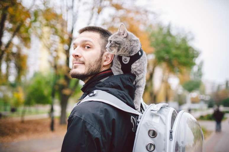 Passear com os pets estimula a socialização e a saúde mental 