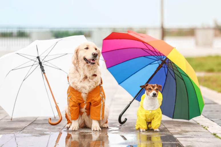 Os passeios durante os dias de chuva exigem alguns cuidados