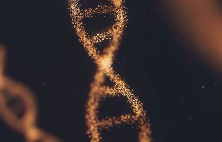 Análise de DNAs antigos revela crainças com Síndrome de Down que viveram há mais de 5 mil anos (Imagem: ANIRUDH/Unsplash)