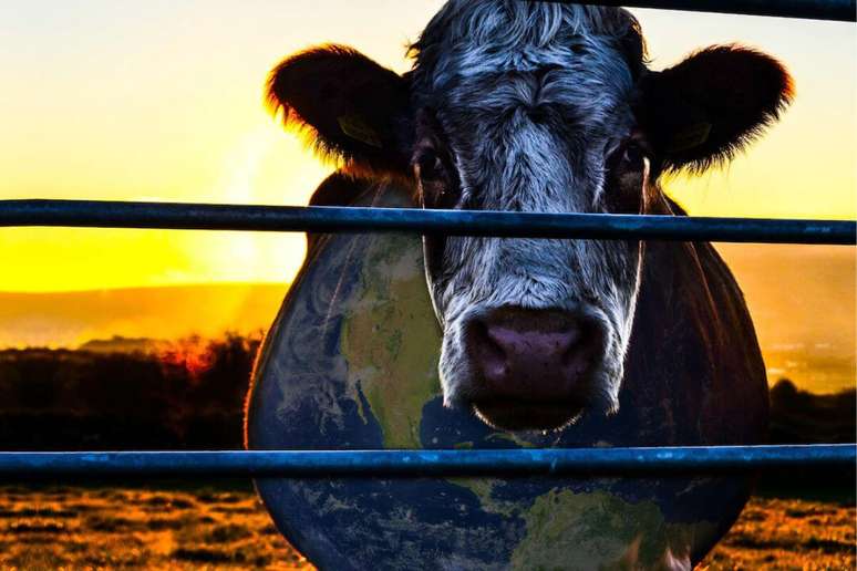 ‘Cowspiracy’ fala sobre a influência da indústria pecuária no meio ambiente 