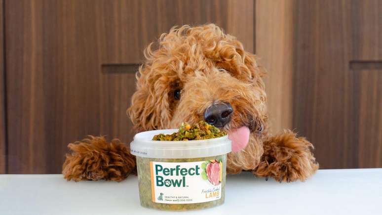 Sydney-based pet food brand Perfect Bowl produces fresh, natural dog food Sydney-based pet food brand Perfect Bowl produces fresh, natural dog food