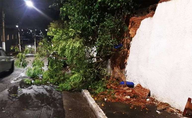Uma árvore que caiu durante as chuvas na sexta-feira, 23, na capital paulista derrubou o muro onde fica parte do ossuário do Cemitério Vila Formosa, zona Leste da cidade.