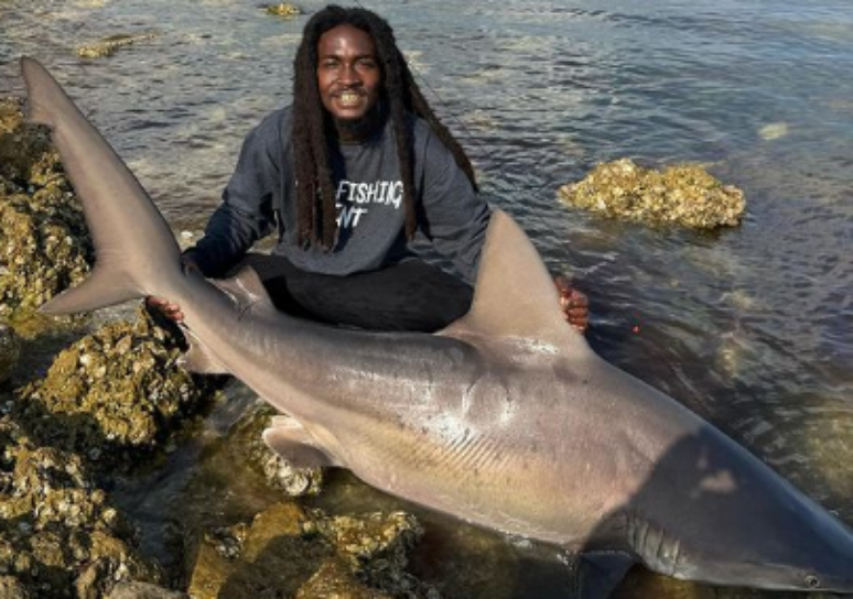 Um homem, apelidado de "Aquaman da vida real", ganhou destaque nas redes sociais depois de ser visto segurando um tubarão com as mãos 