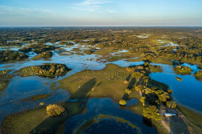 Pantanal é um dos seis biomas brasileiros e já foi até tema de novela.