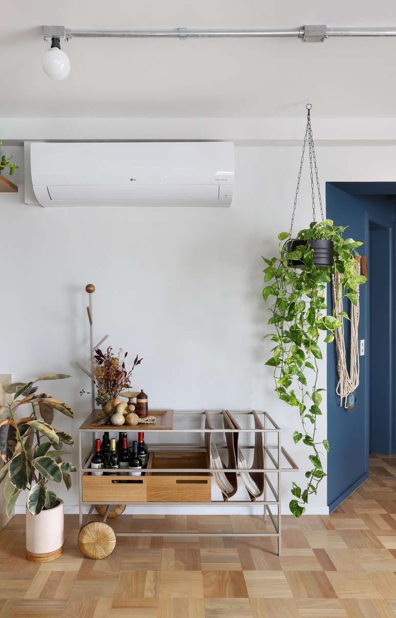 4 tips for cleaning your plants correctly