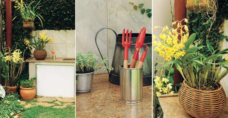 Check out the growing tips for having an orchid garden in your yard