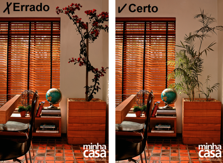 Right and wrong: plants in the house