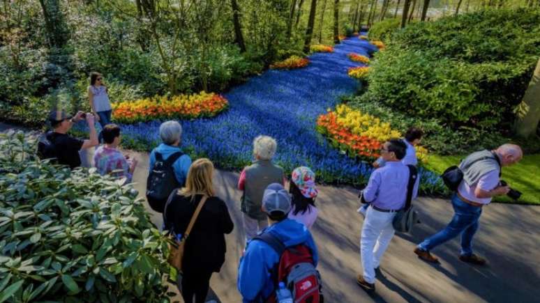 No passeio guiado, especialistas explicam tudo sobre as plantas, os métodos de cultivo, a temática por trás dos desenhos e a tradição das tulipas holandesas