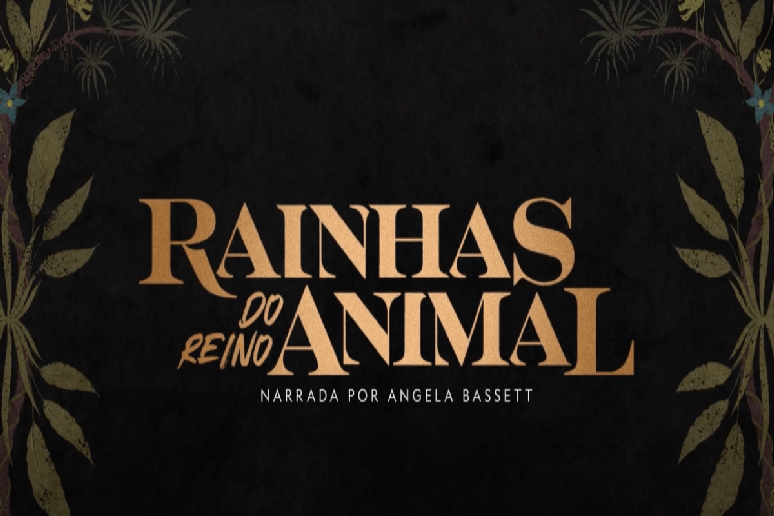 Na série “Rainhas do Reino Animal”, vemos a natureza com os olhos das líderes fêmeas 