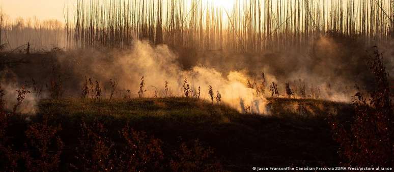 Os chamados incêndios zumbis ardem no subsolo e podem desencadear grandes incêndios florestais novamente