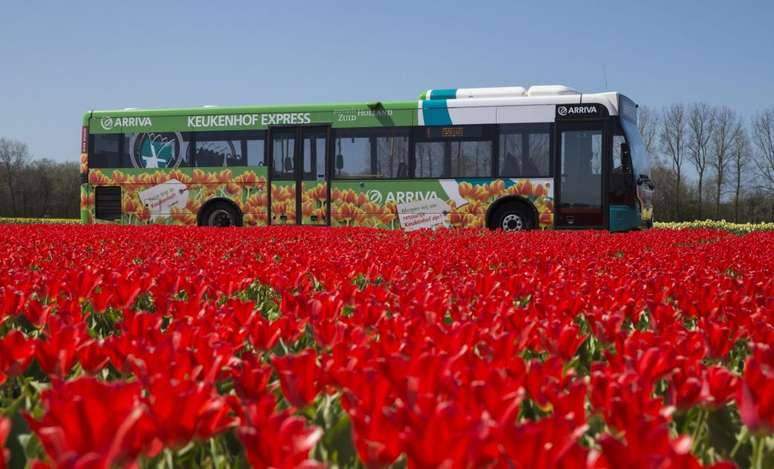 Os ônibus que fazem o trajeto são da empresa ARRIVA