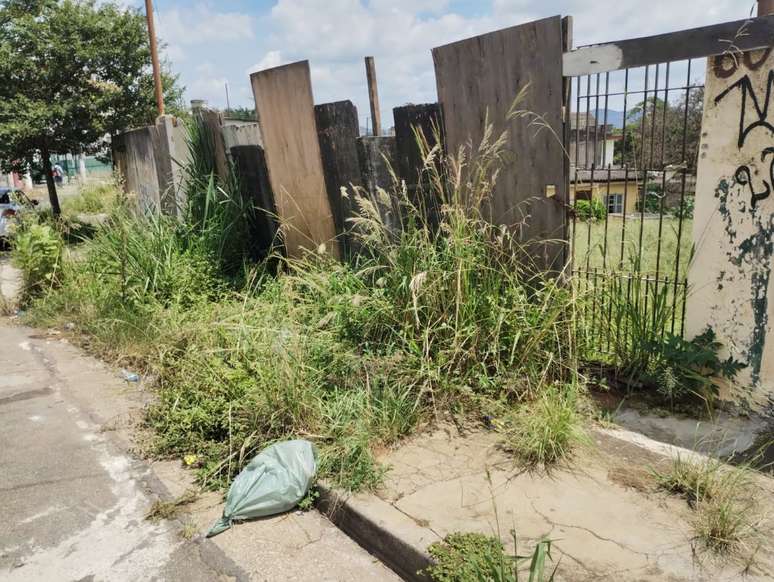 O mato alto e o lixo começam na calçada. Atrás dos tapumes, terreno enorme abandonado na rua Antônio Ayrosa. Ao lado, há uma construção em ruínas.