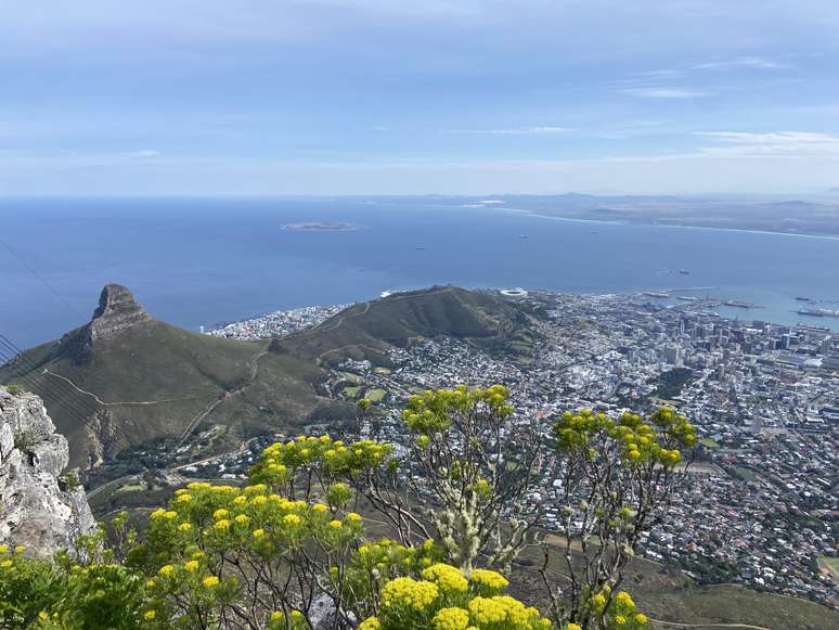 Lion's Head vista do alto da Table Mountain: um ângulo mais lindo que o outro