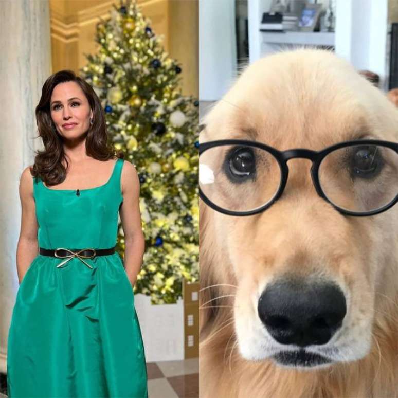 Jennifer Garner e Birdie, sua golden retriever.