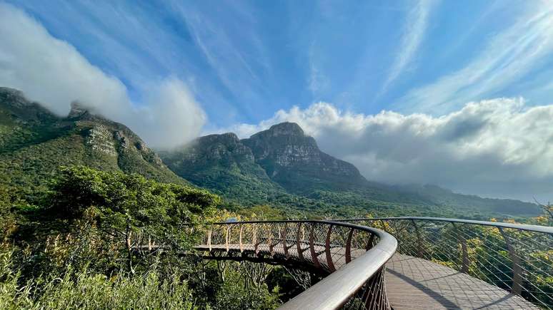 Passarelas de madeira vão conduzindo ao longo do Kirstenbosch