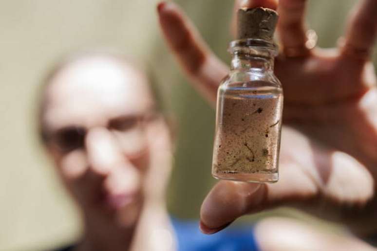 Brasil tem sido duramente afetado pela dengue