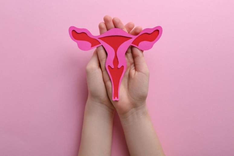 Câncer de colo de útero é o terceiro tumor maligno mais comum na população feminina no Brasil