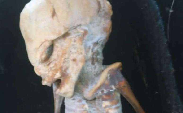 Feto mumificado levanta questões sobre origens humanoides