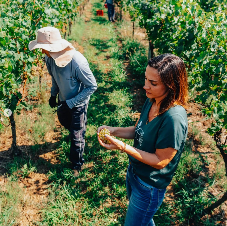 Insumos s&atilde;o vindos de pequenos produtores 