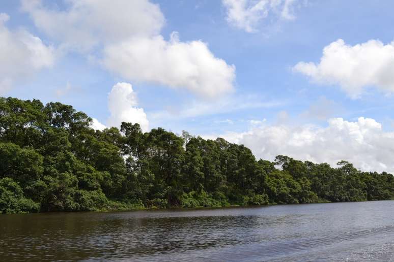 Rio Preguiças oferece uma paisagem exuberante para quem deseja contemplar a natureza 