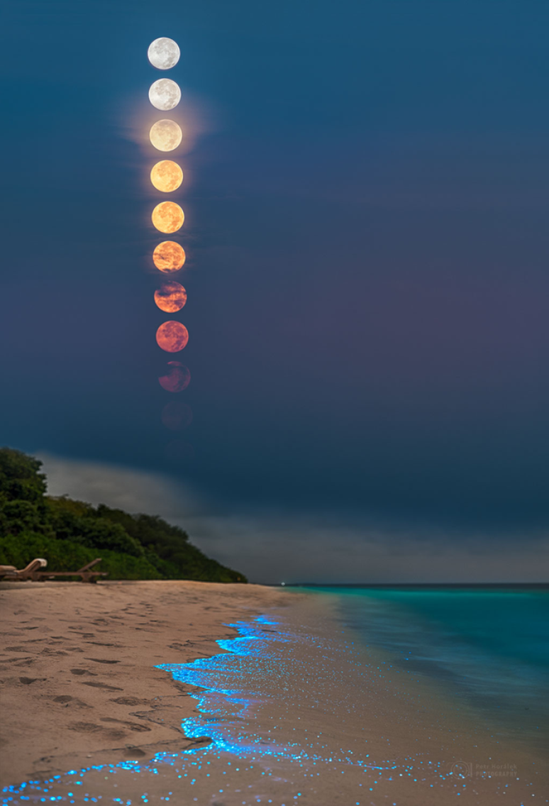 Lua cheia e bioluminescência na ilha Soneva Fushi, nas Maldivas (Imagem: Reprodução/Petr Horálek / Institute of Physics in Opava)