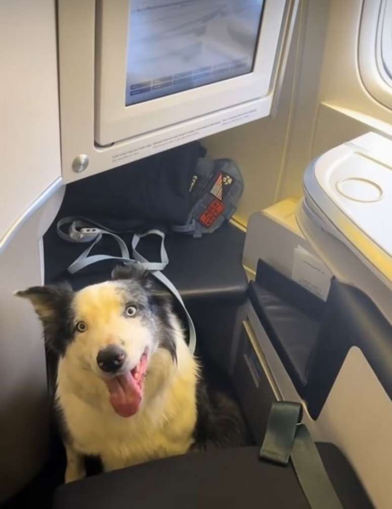 Messi viajando na primeira classe para a cerimônia do Oscar