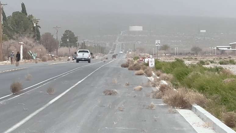 Estrada em Nevada foi tomada por tumbleweeds