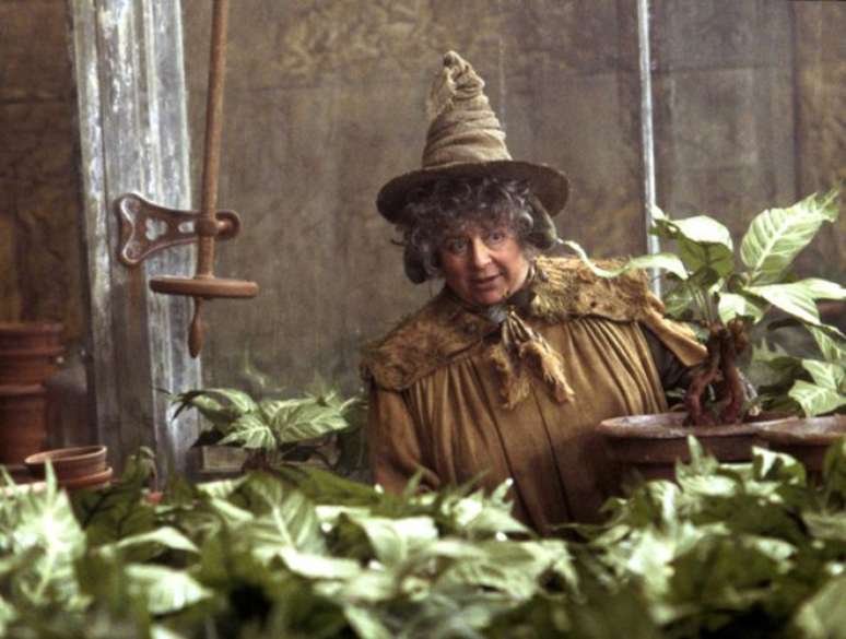 Miriam Margolyes como a Pomona Sprout de Harry Potter