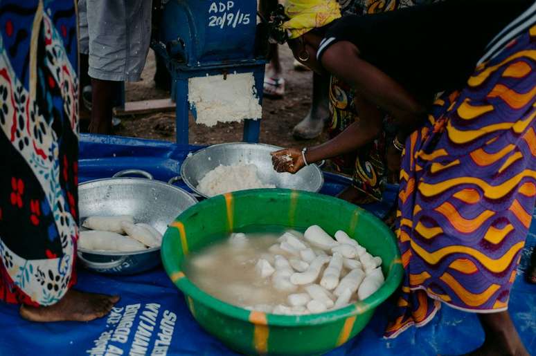For humans to learn to cook cassava and other toxic plants, it took years of testing (Image: Annie Spratt/Unsplash)