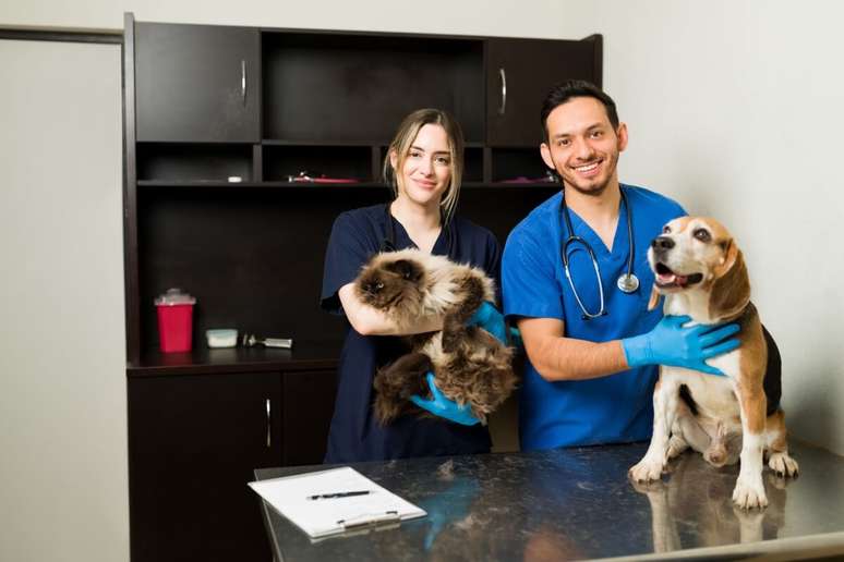 Certain breeds of dogs and cats are more likely to develop kidney disease Certain breeds of dogs and cats are more likely to develop kidney disease