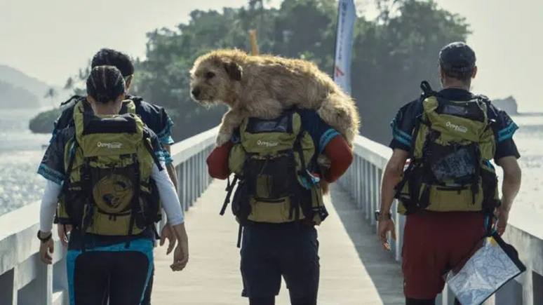 Uma Prova de Coragem mostra a amizade entre um cão e um humano. (Divulgação/Lionsgate)