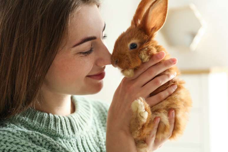 Com os devidos cuidados, os coelhos podem viver entre 8 e 12 anos 