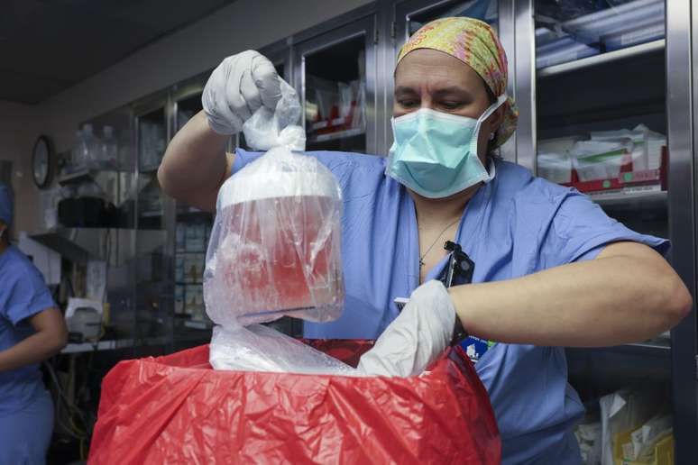 Paciente com doença renal recebe o primeiro transplante de um rim de porco, em cirurgia histórica feita pelo brasileiro Leonardo Riella (Imagem: Brandon Chase/Partners HealthCare/MGH)