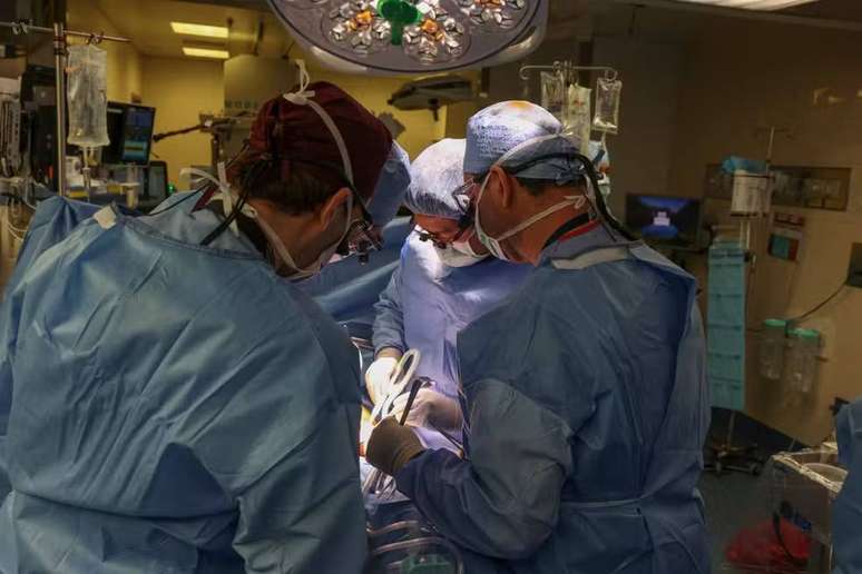 Brasileiro comandou a primeira cirurgia de transplante de um rim de porco em uma pessoa viva