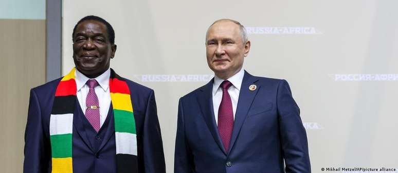 What’s behind the grains donated by Russia to Africa