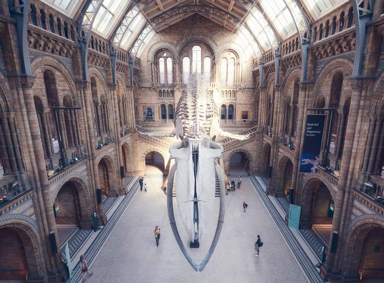 O Museu de História Natural de Londres, uma das atrações mais visitadas do Reino Unido
