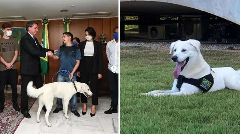 Michelle Bolsonaro e cachorro apelidado de Augusto Bolsonaro
