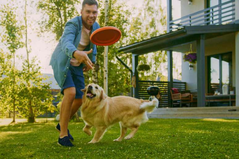Brincar com o cachorro regularmente ajuda a gastar energia e evitar a obesidade 