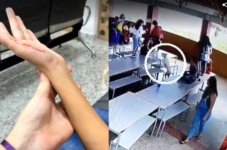 Crianças tiveram arranhões após o cachorro invadir a escola