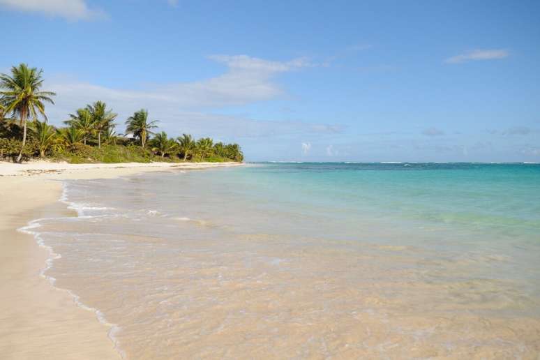 A Praia de Lages deve fazer parte de seu roteiro por Alagoas 