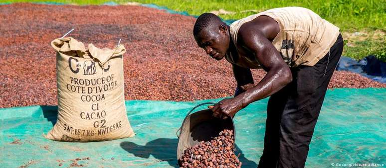 De cada euro gasto em uma barra de chocolate, apenas cerca de sete centavos vão para os produtores de cacau, a maioria em Gana e Costa do Marfim