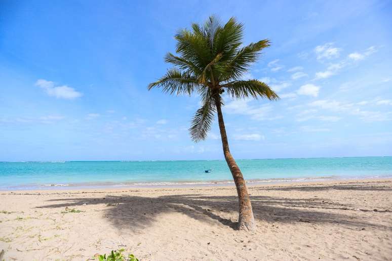 O litoral alagoano tem praias que encantam pela cor das águas