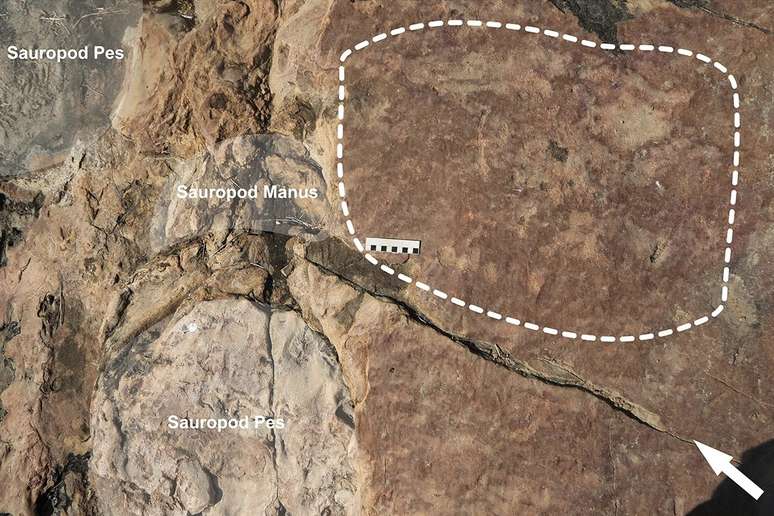 Pegadas de saurópodes próximas a área onde existem vestígios de pinturas rupestres (linha tracejada). Barra de escala = 10 cm.