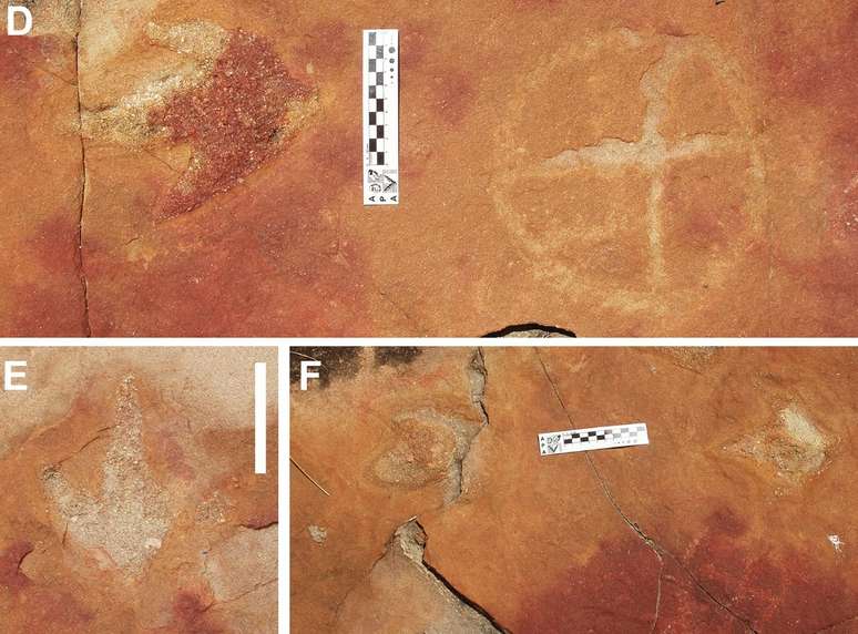 ( D ) e ( F ) mostram pegadas próximas a pinturas rupestres. Barras de escala = 10 cm.
