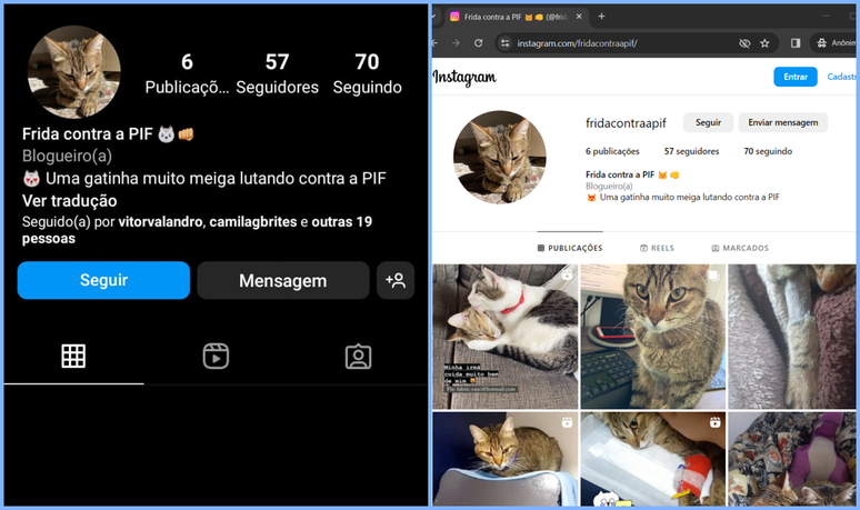 O modo anônimo de um navegador permite saber se você foi bloqueado por um perfil no Instagram (Imagem: Captura de tela/Fabrício Calixto/Canaltech)